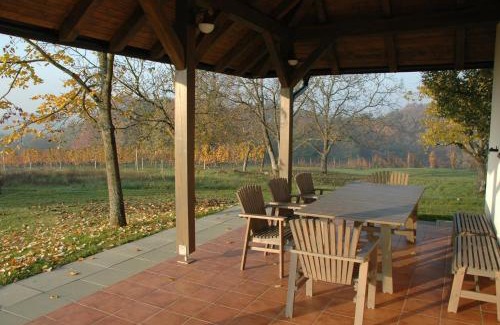 Moravske Toplice House | Country house Martinova Klet