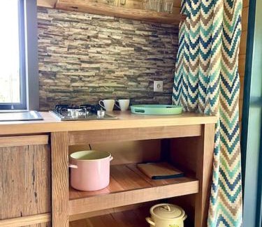 Vadu Crisului Ski Chalet | Country House