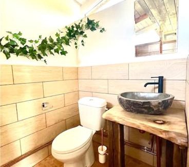 Vadu Crisului Ski Chalet | Country House