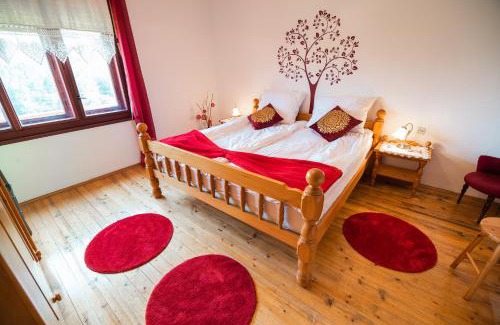Vidrga House | Country House Sara