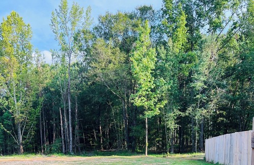 Grady RV Rental | Country Peace Boondocking