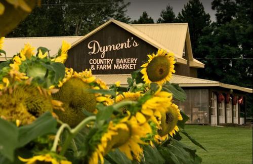 Hamilton House | Country Roads Dwelling