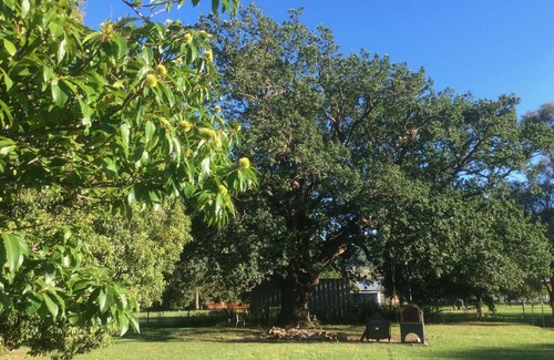 Emu Vale House | country school
