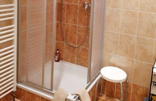 Blasewitz Apartment | Country-style non-smoking double room