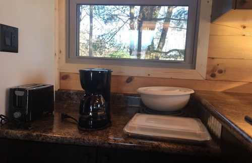 Goshen Cabin | Couples getaway TINY Log Cabin by the pine trees