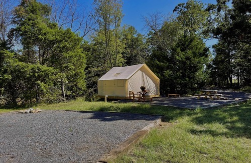 Marshall RV Rental | Couples Glamping Tent Near the Buffalo River