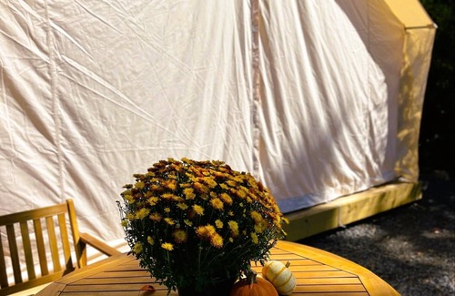 Marshall RV Rental | Couples Glamping Tent Near the Buffalo River