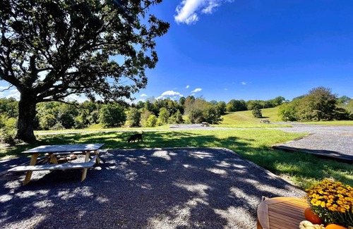 Marshall RV Rental | Couples Glamping Tent Near the Buffalo River