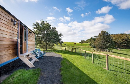 Bowsden Cabin | COW PARSLEY SHEPHERD'S HUT, near Berwick upon Tweed - sleeps 4