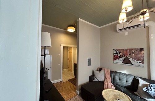 Springfield Apartment | Cozy 1-bedroom apartment with WiFi, AC, washer/dryer in charming Springfield
