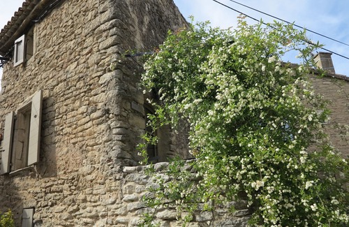 Goult House | Cozy 1 bedroom house, 2 min walk from the village square in GOULT. Pet friendly