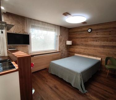 Komarno Apartment | Cozy 1 room flat with sauna