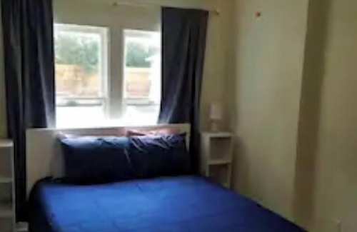Harlandale House | Cozy 2 Bedroom Home - Mins from Downtown & Pearl