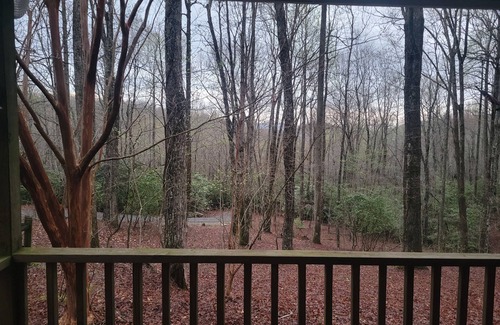 Rosman Cottage | Cozy 3 Bed Room Cabin in NC Mountians quiet gated community: Lots to see and do