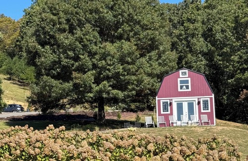 Lynn Garden Cabin | Cozy 3 bedroom cabin on a Christmas tree farm in Church Hill, TN.