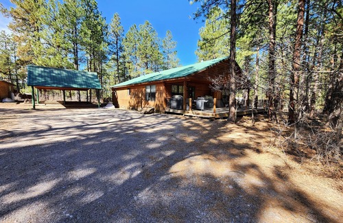 Los Ojos Cabin | Cozy 3 Bedroom Cabin