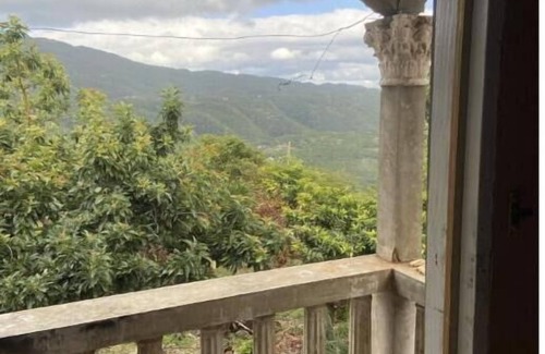 Mandeville House | Cozy accommodation in the cool hills of ,Mandeville with a view of the ocean