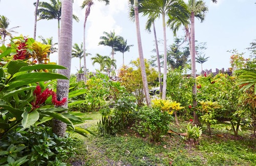 Marigot House | Cozy and Rustic bungalow next to river! Close to interesting sites.