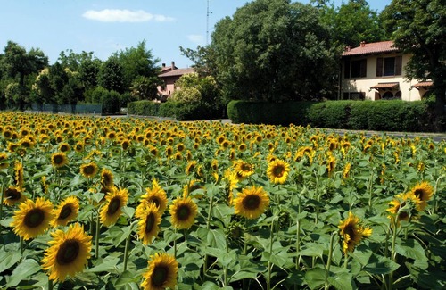 Farneto Apartment | Cozy apartment in natural park, near Fair, FICO,Bellaria Hospital