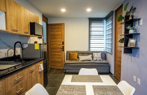San Luis Potosi Apartment | Cozy Apartment for 4 Guests with Parking
