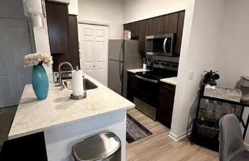Braeswood Place Apartment | Cozy Apartment in the Texas Med Center