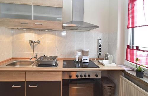 Tannenbergsthal Apartment | Cozy Apartment Near Ski