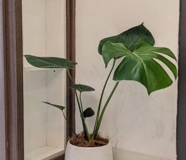 Kim Lien Apartment | Cozy apartment w/2 private BR & free bike parking