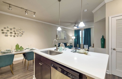 Durham Apartment | Cozy, beautifully decorated apartment!