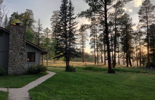 Pagosa Springs Cabin | Cozy Cabin in the Heart of Pristine Wilderness