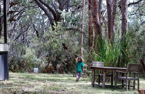Hordern Vale Cabin | Cozy cabin in the Otway National Parkn