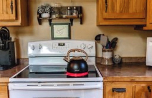 Webster Cabin | Cozy Cabin in the Woods