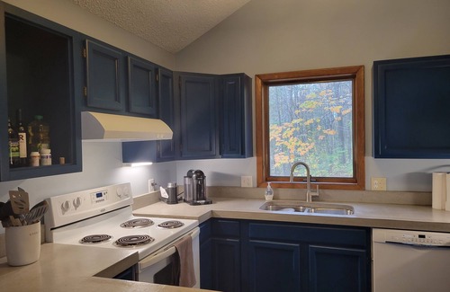Elmira Cabin | Cozy Cabin in the Woods with a Short walk to the Lake, ORV Trails, and Skiing!