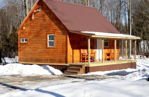 Rooseveltown Cabin | Cozy cabin located in Brasher Falls, NY. Pet friendly!