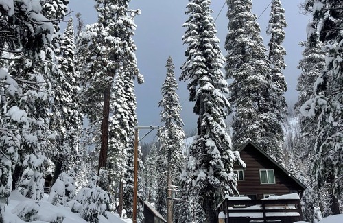 Echo Lake Cabin | Cozy cabin near Lake Tahoe SierraSki resort . 2bed 2bath.