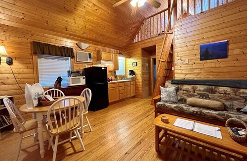 Laurel Springs Cabin | Cozy cabin Near Blue Ridge Parkway, Pet Friendly, WIFI, Pond, Gas FRPL