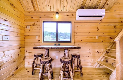 Hector Cabin | Cozy Cabin on Seneca Wine Trail Vineyard View 1