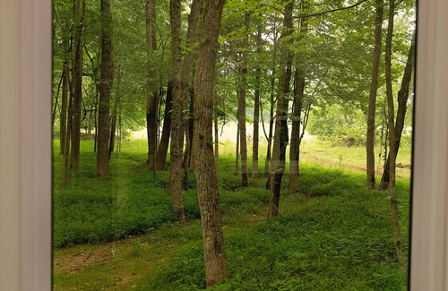 Ellsinore Cabin | Cozy cabin with hot tub just 15 minutes from the beautiful Current River.
