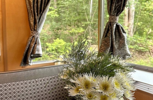 Willseyville House | Cozy caravan in Willseyville with authentic sauna in bucolic setting