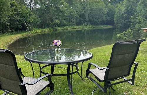 Willseyville House | Cozy caravan in Willseyville with authentic sauna in bucolic setting