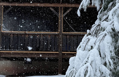 Tannersville Cabin | Cozy Catskills Cabin