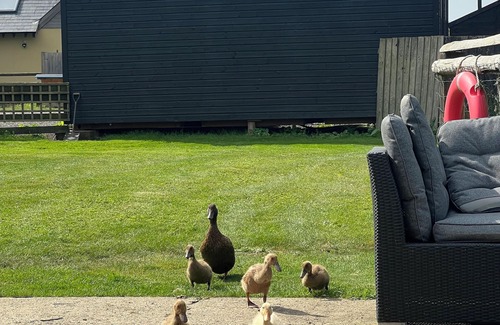 Ashford House | Cozy converted millking barn in the weald of Kent, 50mins from Central London