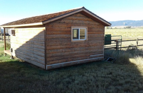 Buffalo Cabin | Cozy cottage at the foot of the Big Horn Mountains, stunning views, horseback riding