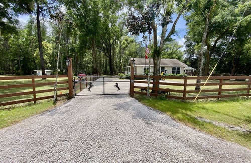 Odessa Cottage | Cozy Cottage - Close to Everything, Nature Lovers Dream!