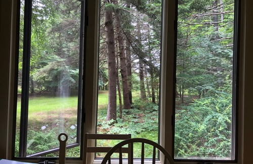 Southwest Harbor Cottage | Cozy cottage in woods, 5-min walk to ocean & town