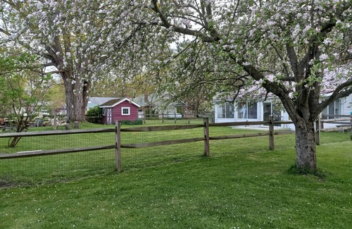 Pymatuning Central Cottage | Cozy cottage across the street from Pymatuning lake