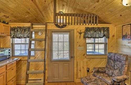 Cumberland Cabin | Cozy Cumberland Cabin in the Allegheny Mountains!