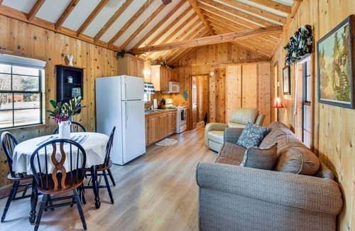 Rabun Gap Cabin | Cozy Dillard Cabin w/Mountain Views & Pool Access