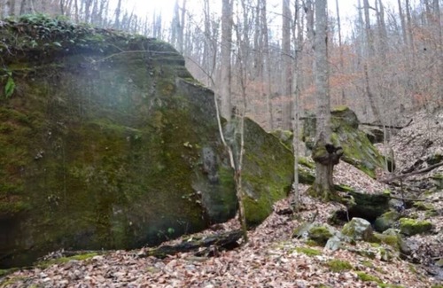 Stanton Cabin | Cozy & Efficient cabin w/river access. Pet Friendly!