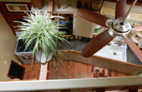 North Conway Condo | Cozy Family And Pet Friendly