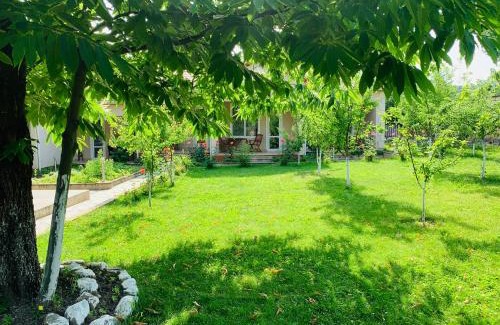 Gabala Villa | Cozy Family Cottages